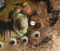 cc攻击免费网页版